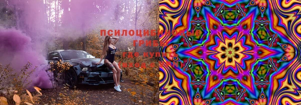 мдпв Арсеньев