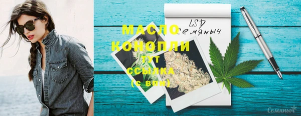 мдпв Карпинск